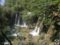 thn00287.jpg