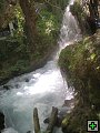 thn00298.jpg