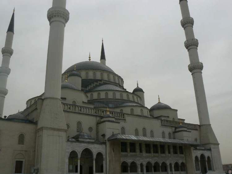 img00053.jpg