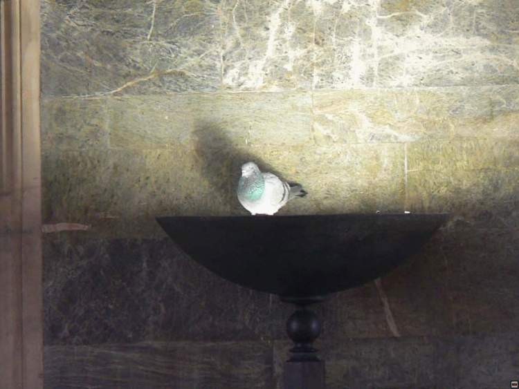 img00086.jpg
