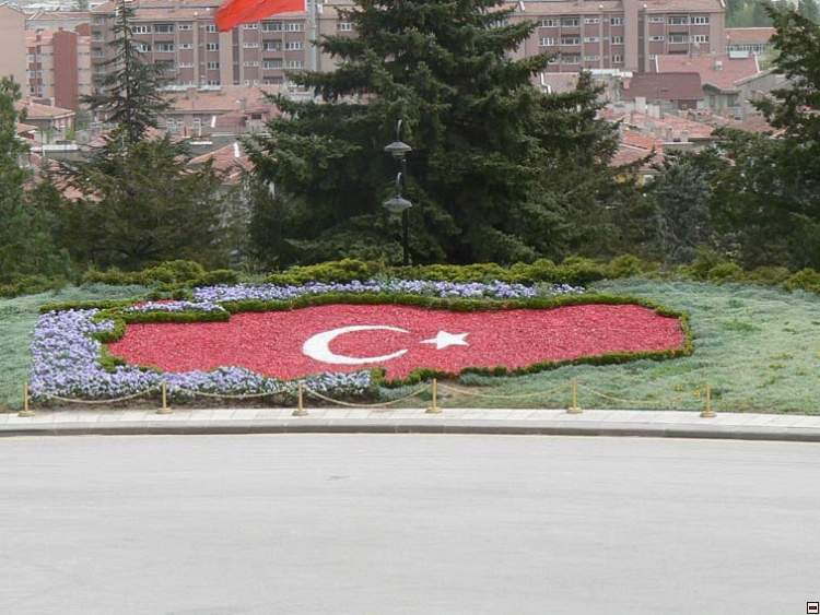 img00091.jpg