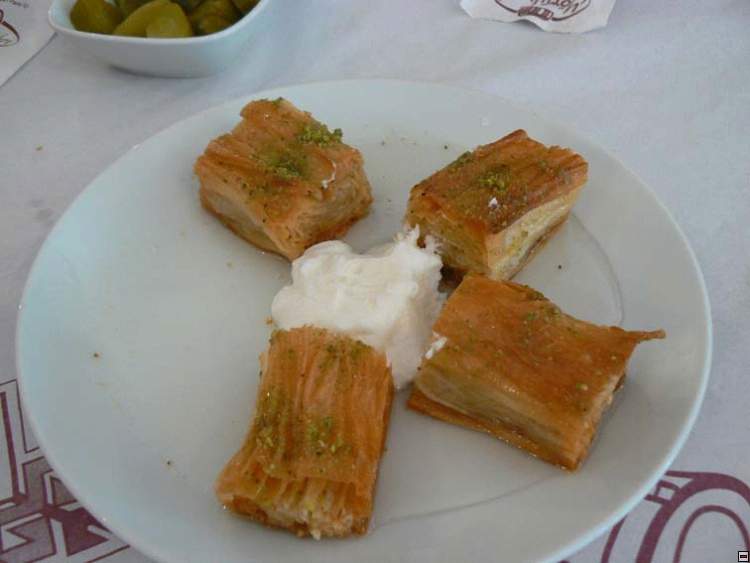 img00104.jpg