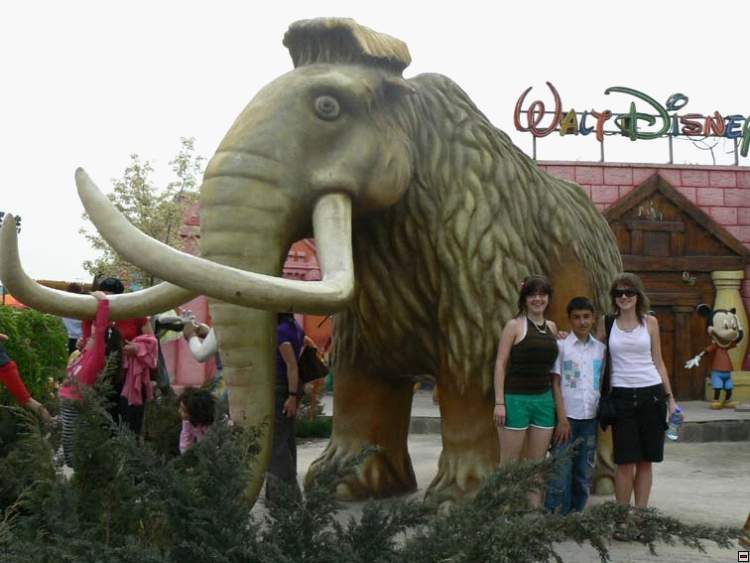 img00141.jpg