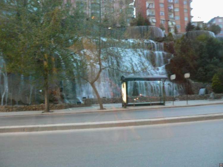img00145.jpg