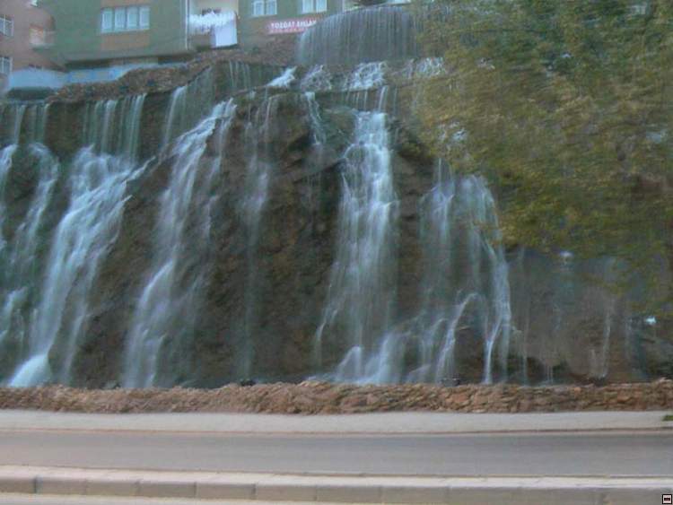 img00146.jpg