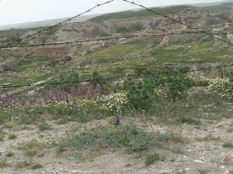 img00167.jpg