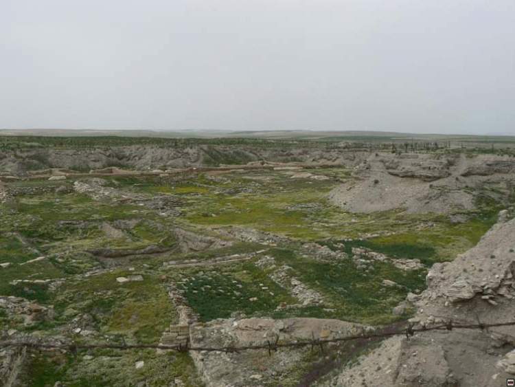 img00168.jpg