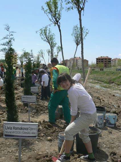 img00201.jpg