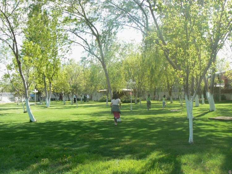 img00206.jpg