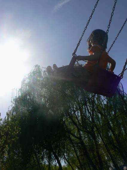 img00207.jpg