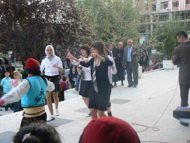 img00209.jpg