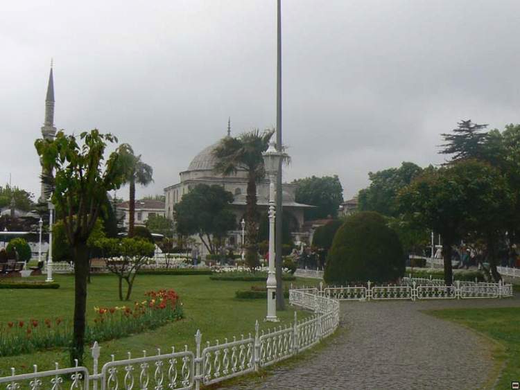 img00237.jpg