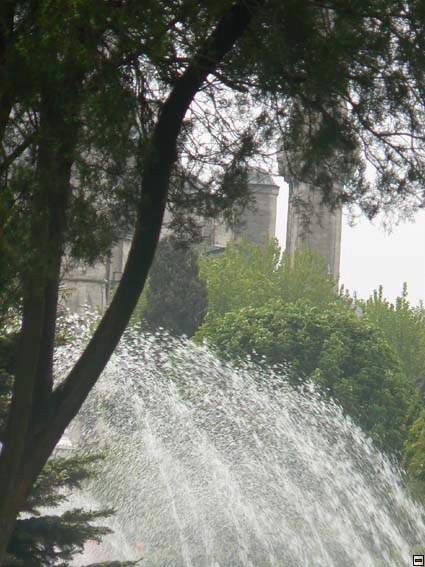 img00238.jpg