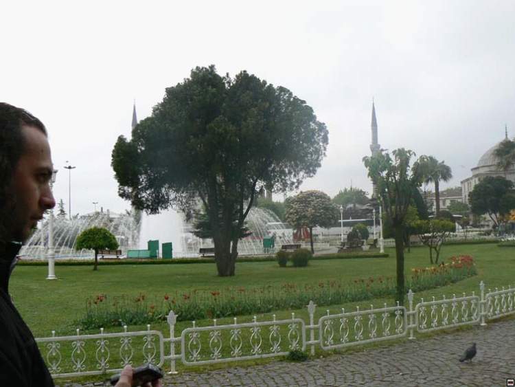 img00239.jpg