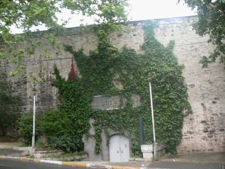 img00248.jpg
