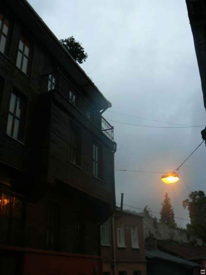 img00251.jpg