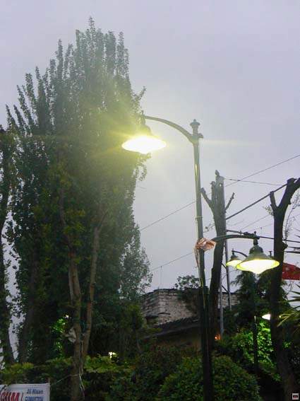 img00252.jpg