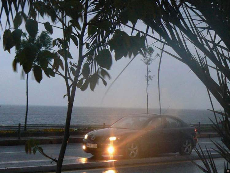 img00256.jpg