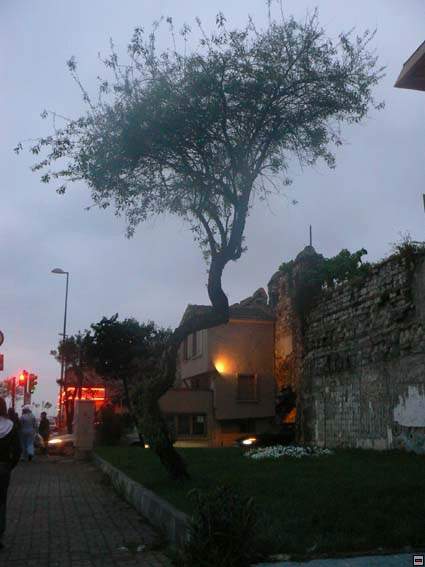 img00257.jpg