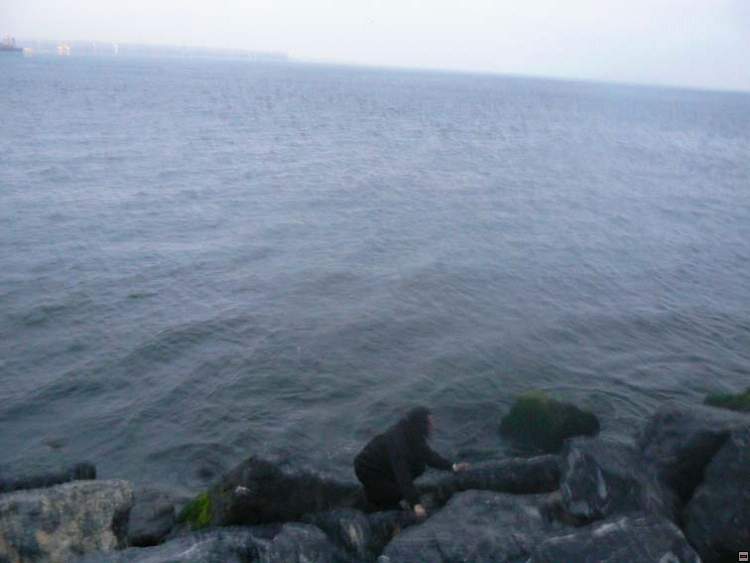 img00258.jpg