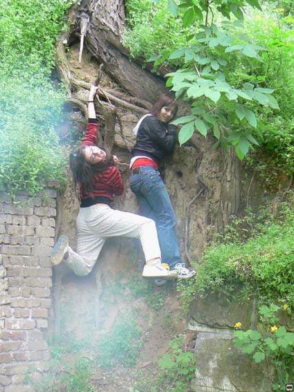 img00269.jpg