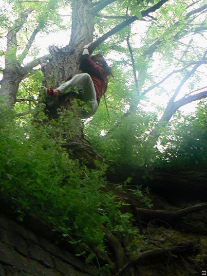 img00271.jpg
