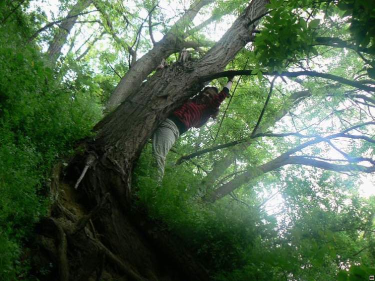 img00272.jpg