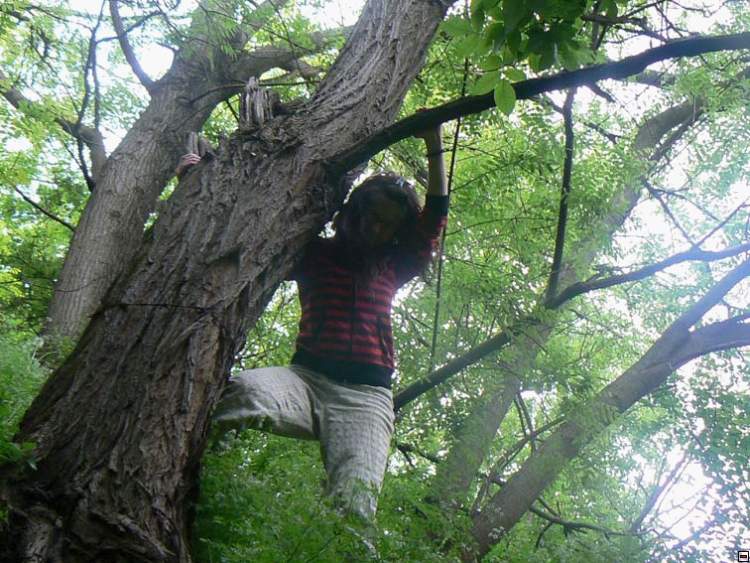 img00273.jpg