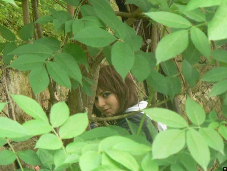img00278.jpg
