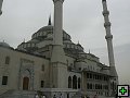 thn00052.jpg