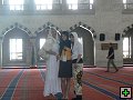 thn00059.jpg