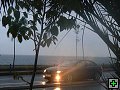 thn00256.jpg