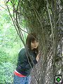 thn00266.jpg