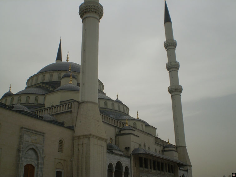 img00043.jpg