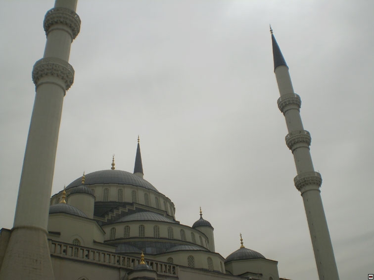 img00045.jpg