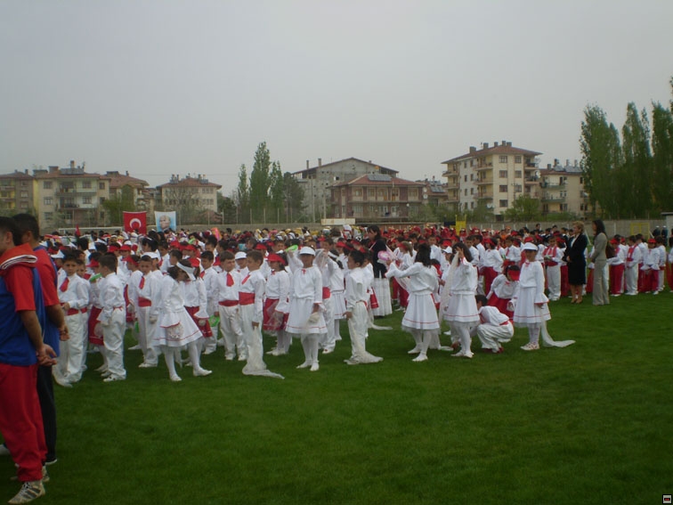 img00118.jpg