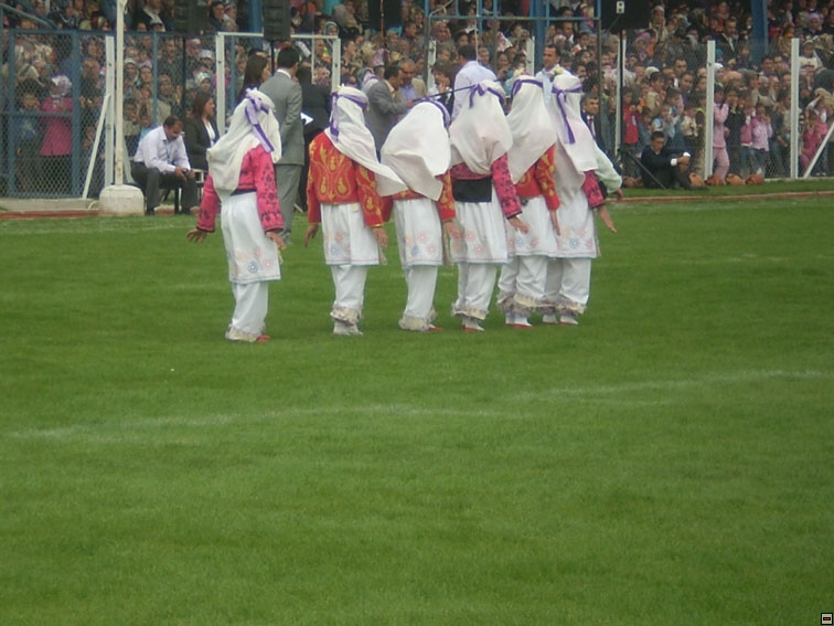 img00120.jpg