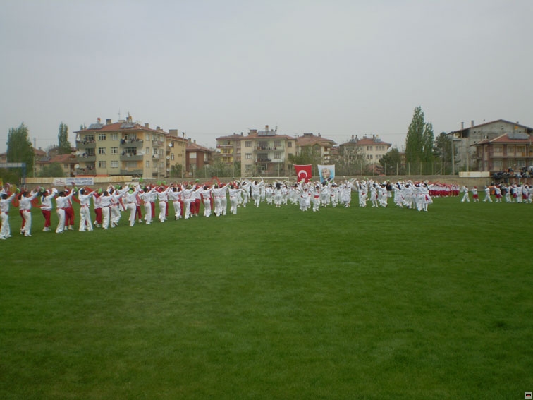 img00125.jpg