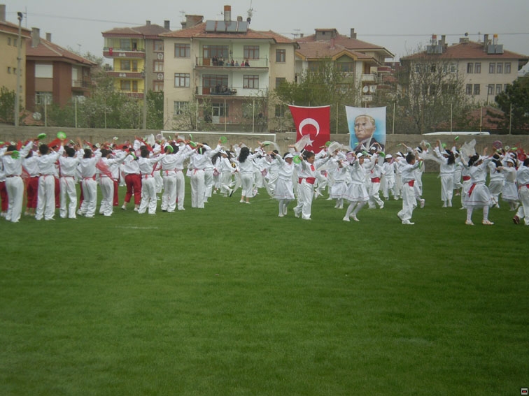 img00126.jpg