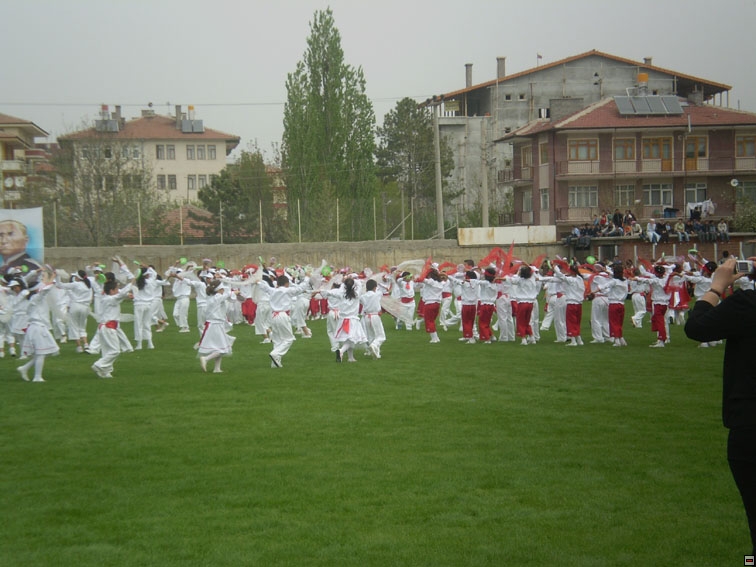 img00127.jpg