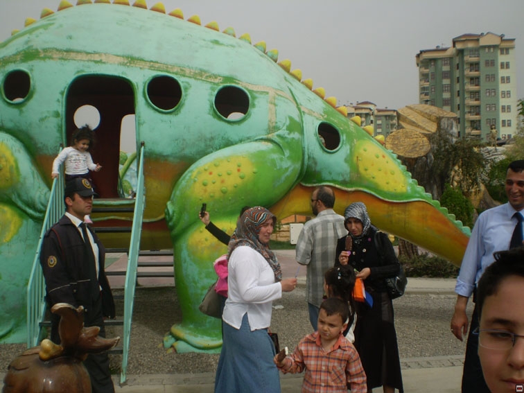 img00155.jpg