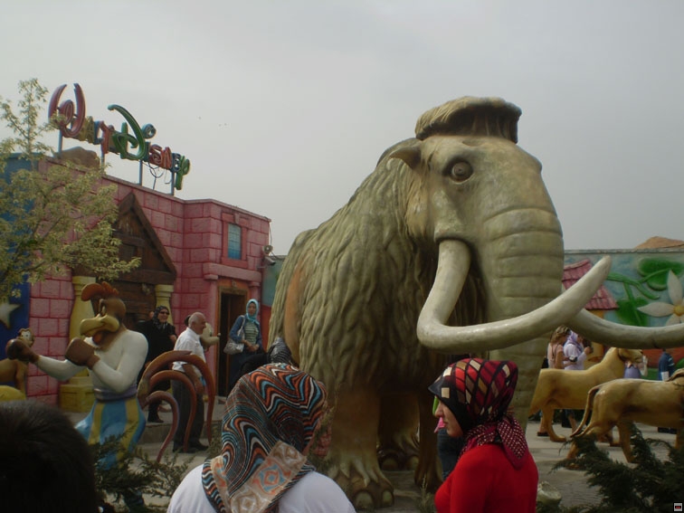 img00157.jpg