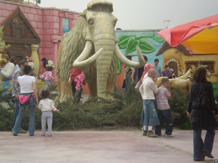 img00164.jpg