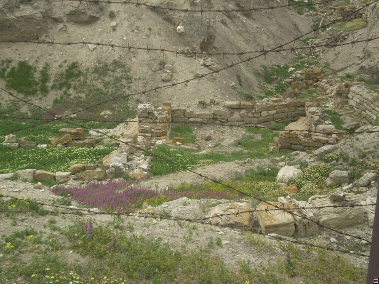 img00172.jpg
