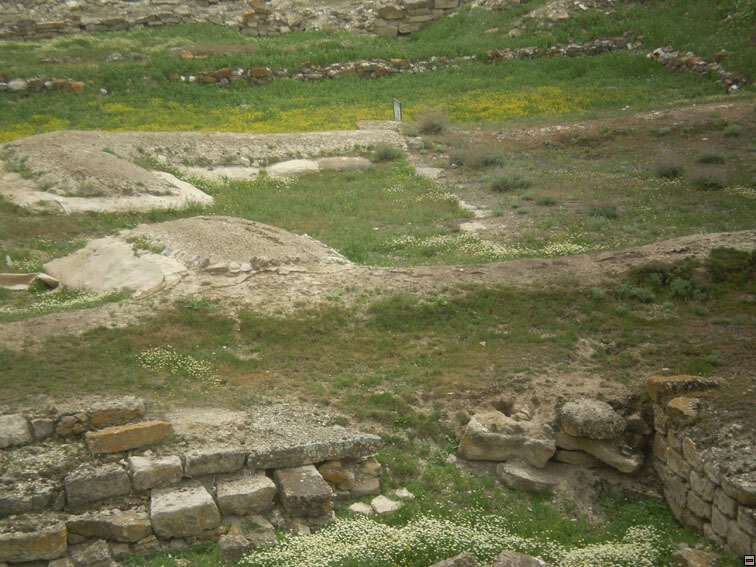 img00174.jpg