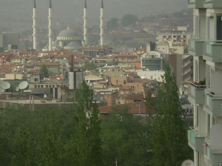 img00193.jpg