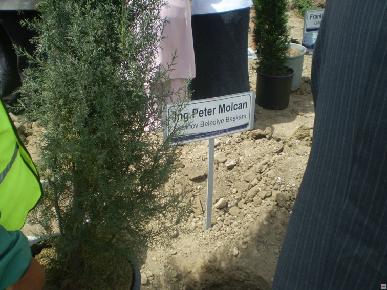 img00198.jpg