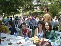 thn00034.jpg
