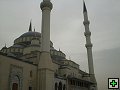 thn00043.jpg