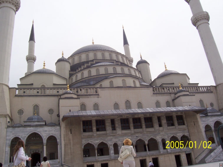 img00044.jpg